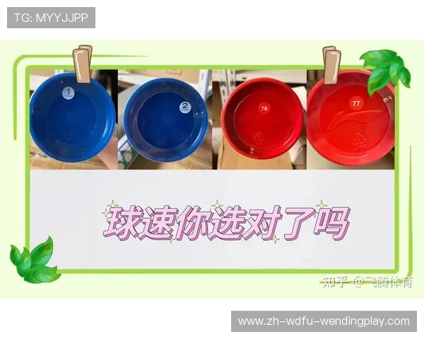 羽毛球球速介绍